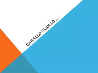 caballo criollo