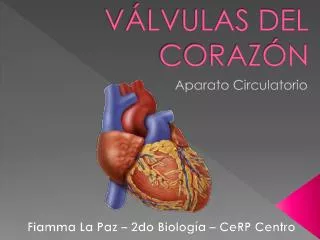 v lvulas del coraz n