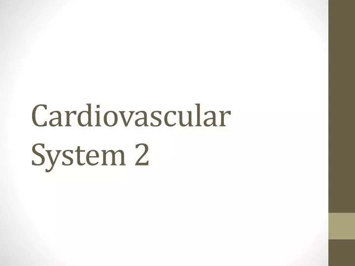 cardiovascular system 2