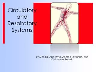 Circulatory and Respiratory Systems