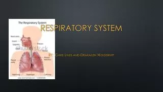 Respiratory System