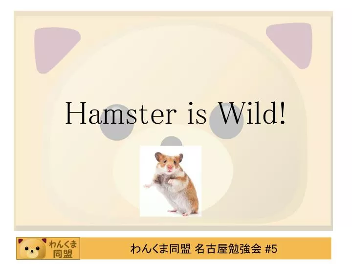 hamster is wild