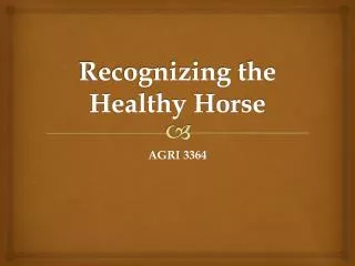 Recognizing the Healthy Horse