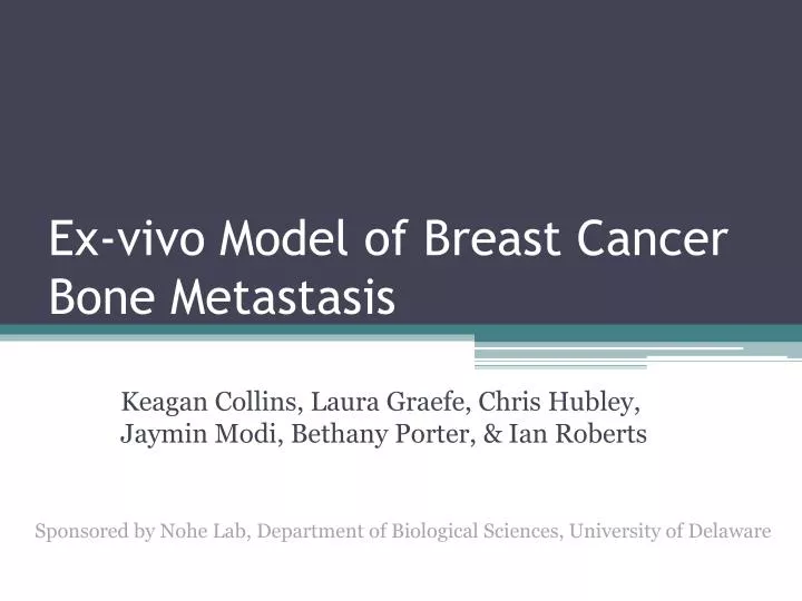 ex vivo model of breast cancer bone metastasis