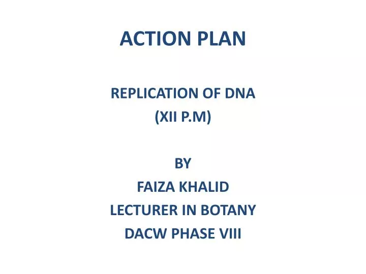 action plan