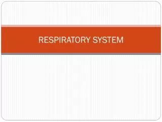 respiratory system