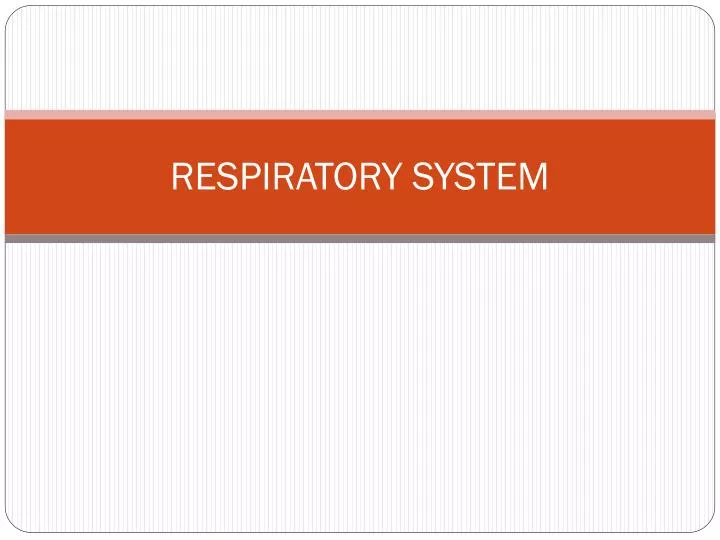 respiratory system