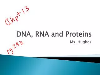 DNA, RNA and Proteins