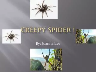 Creepy spider !