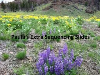 Paula’s Extra Sequencing Slides