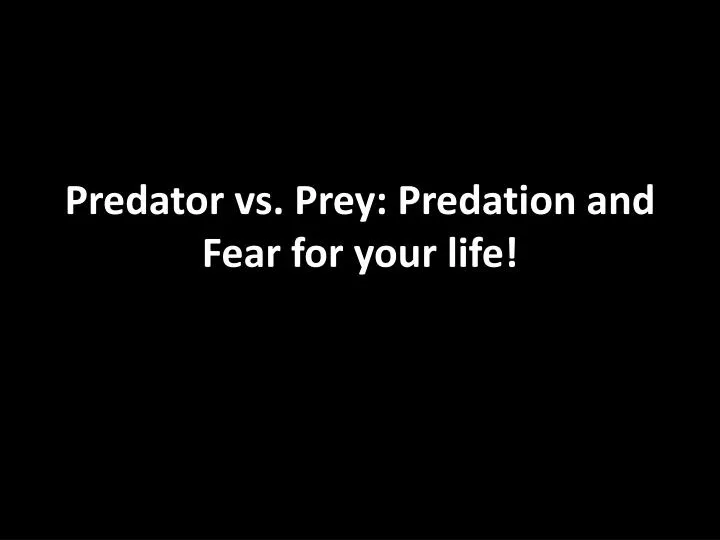 predator vs prey predation and fear for your life