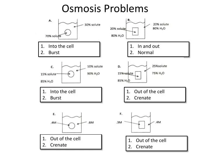 osmosis problems