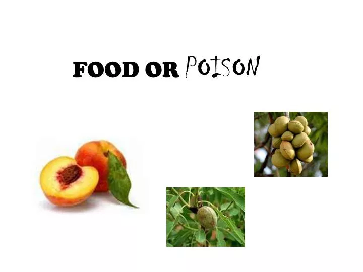 food or poison