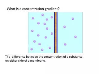 What is a concentration gradient?