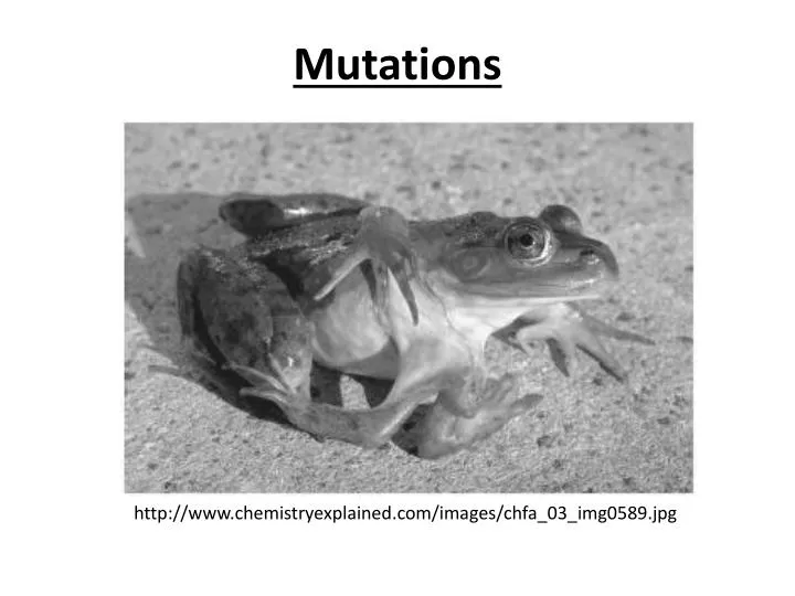 mutations