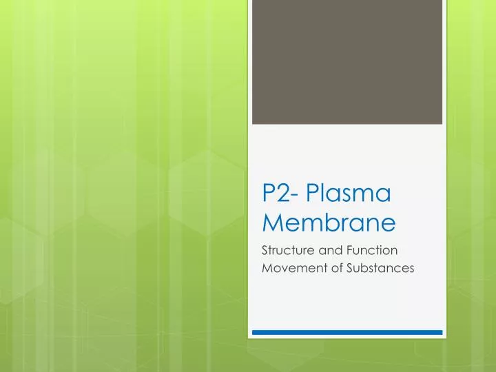 p2 plasma membrane
