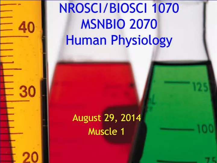 nrosci biosci 1070 msnbio 2070 human physiology
