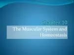 Chapter 10 - slide 1