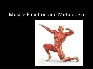 Muscle Function and Metabolism