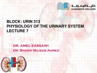 block urin 313 physiology of the urinary system lecture 7