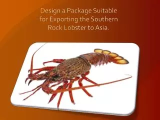 Design a Package Suitable for Exporting the Southern Rock Lobster to Asia.