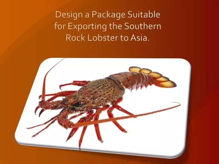 design a package suitable for exporting the southern rock lobster to asia