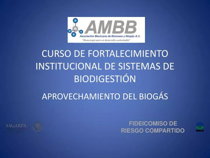 curso de fortalecimiento institucional de sistemas de biodigesti n