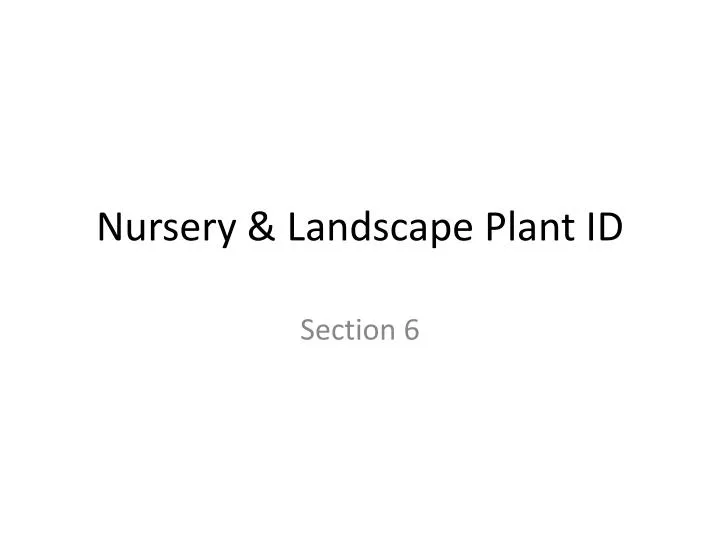 nursery landscape plant id