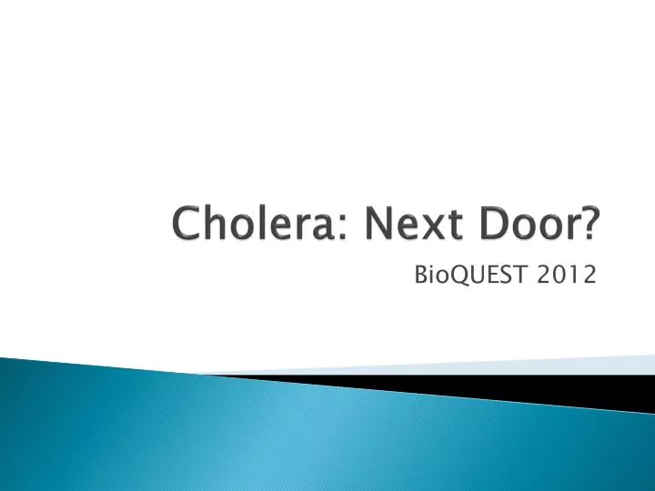 cholera next door