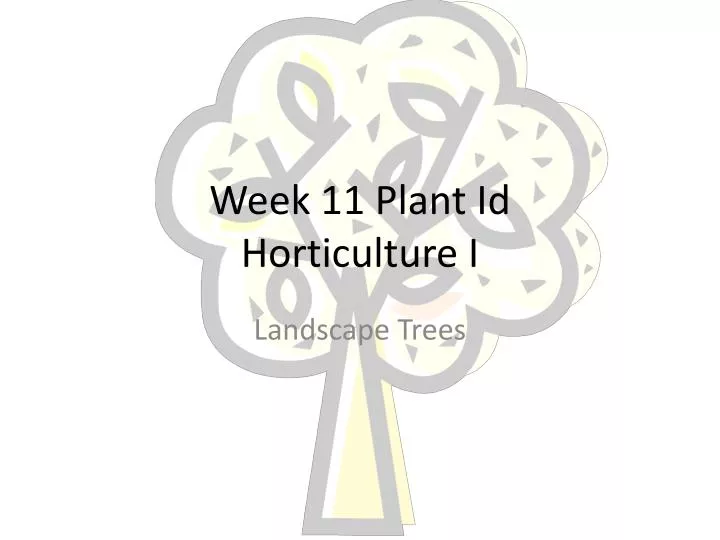 week 11 plant id horticulture i
