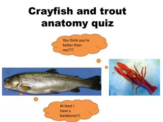 Crayfish and trout anatomy quiz