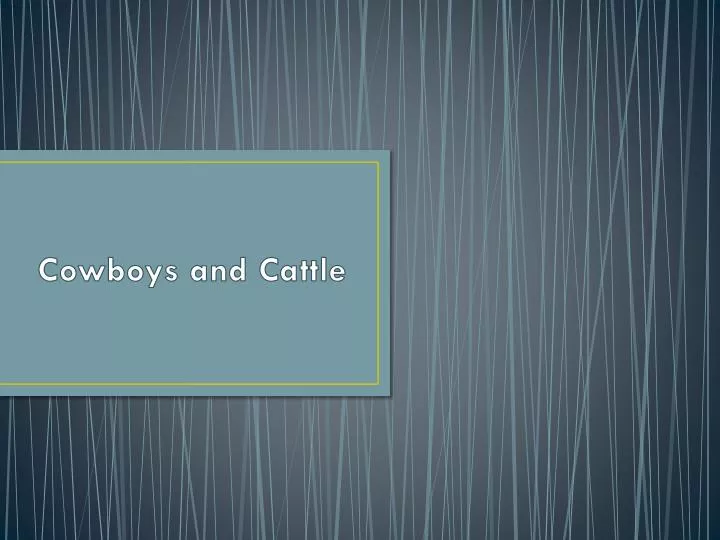 cowboys and cattle