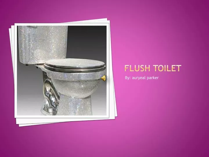 flush toilet