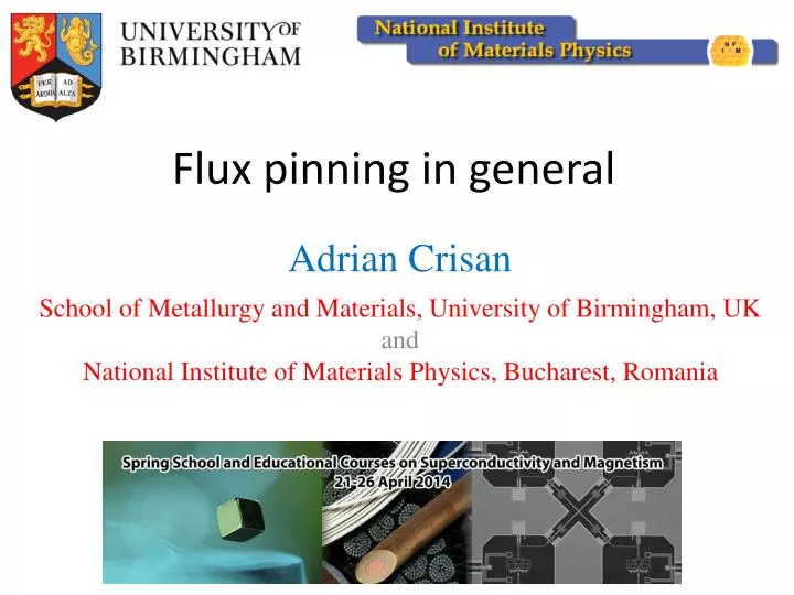 flux pinning in general
