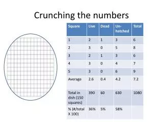 Crunching the numbers