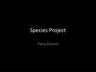 Species Project