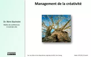 management de la cr ativit