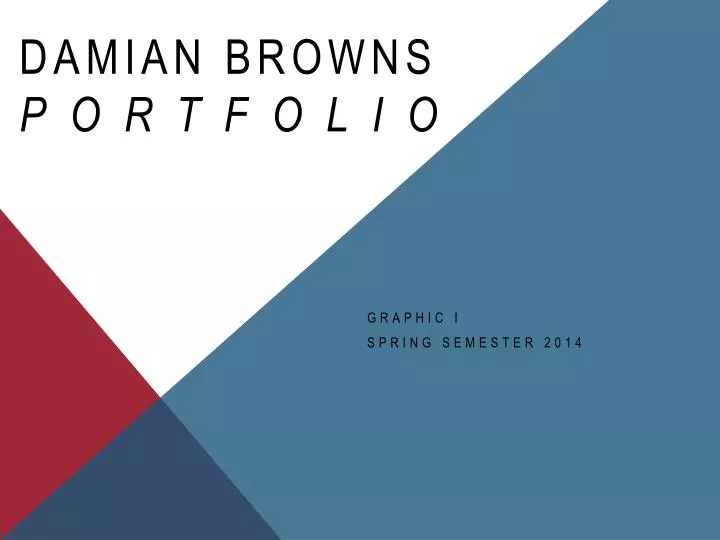 damian browns portfolio