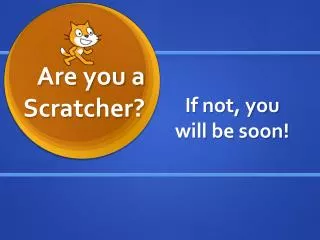 Are you a Scratcher?