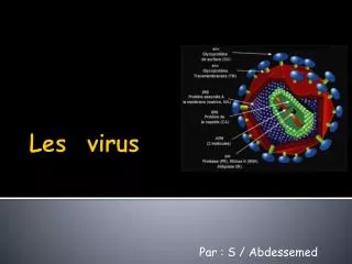 par s abdessemed
