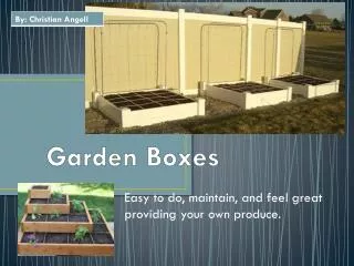Garden Boxes