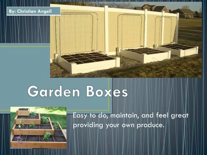 garden boxes