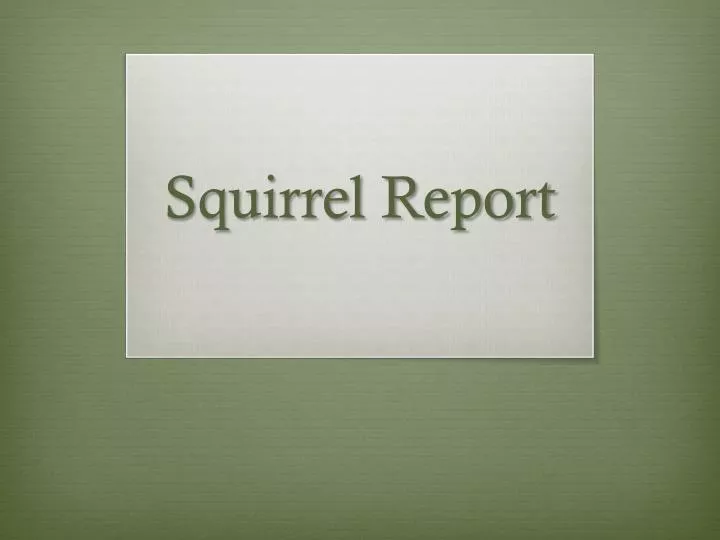 squirrel report