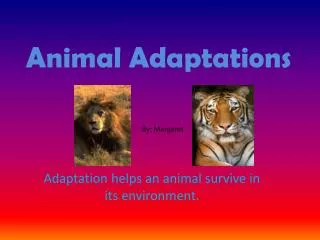 animal adaptations