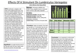 Effects Of A Stimulant On Lumbriculus Variegates John Warne And Vjosa Bela