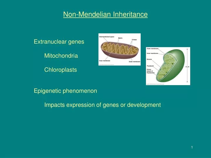 non mendelian inheritance