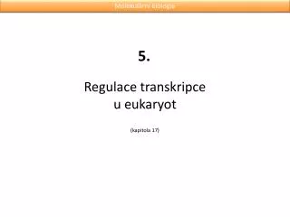 Regulace transkripce u eukaryot ( kapitola 17)