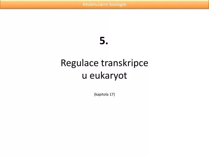 regulace transkripce u eukaryot kapitola 17