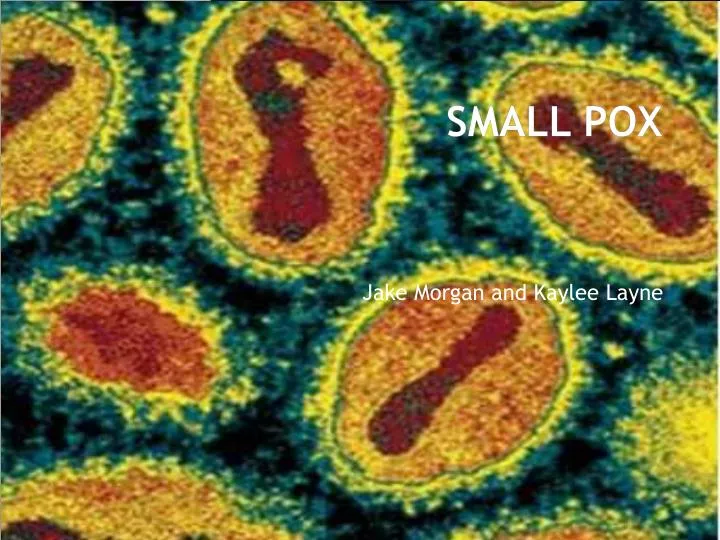 small pox