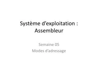 syst me d exploitation assembleur